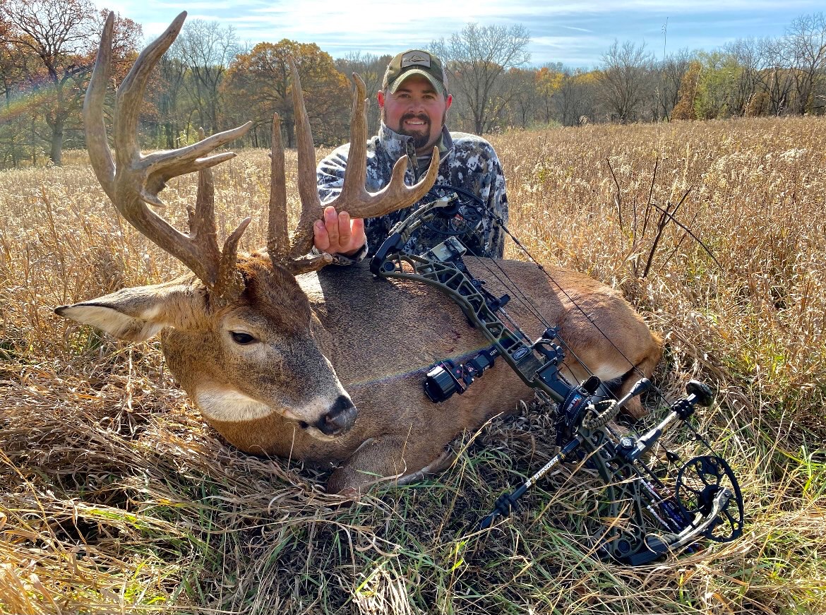 Buck with Bow